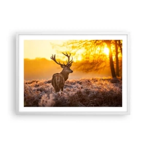 Poster in cornice bianca - Il re del bosco estivo - 70x50 cm