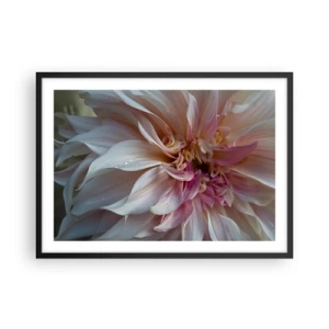 Poster in cornice nera - Primo piano di delicati petali di fiori rosa con gocce d'acqua - 70x50cm - Freschezza in fiore - Decorazione murale moderna per soggiorno e camera da letto ARTTOR