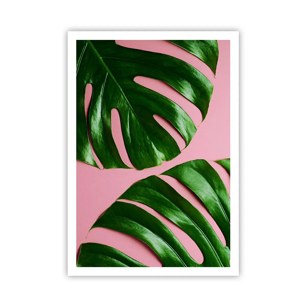 Poster - Appuntamento in verde - 70x100 cm