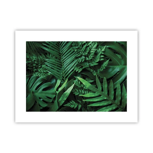 Poster - Avvolti nel verde - 40x30 cm