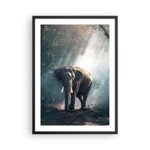 Poster in cornice nera - Un elefante che si crogiola al sole in una fitta foresta - 50x70cm - Tranquilla passeggiata - Decorazione murale moderna per soggiorno e camera da letto ARTTOR