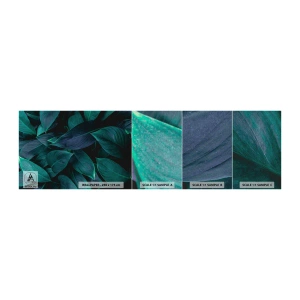 Campione di Fotomurale Premium Canvas - Il verde puro - Foglie, Natura, Botanica - 100x30 cm