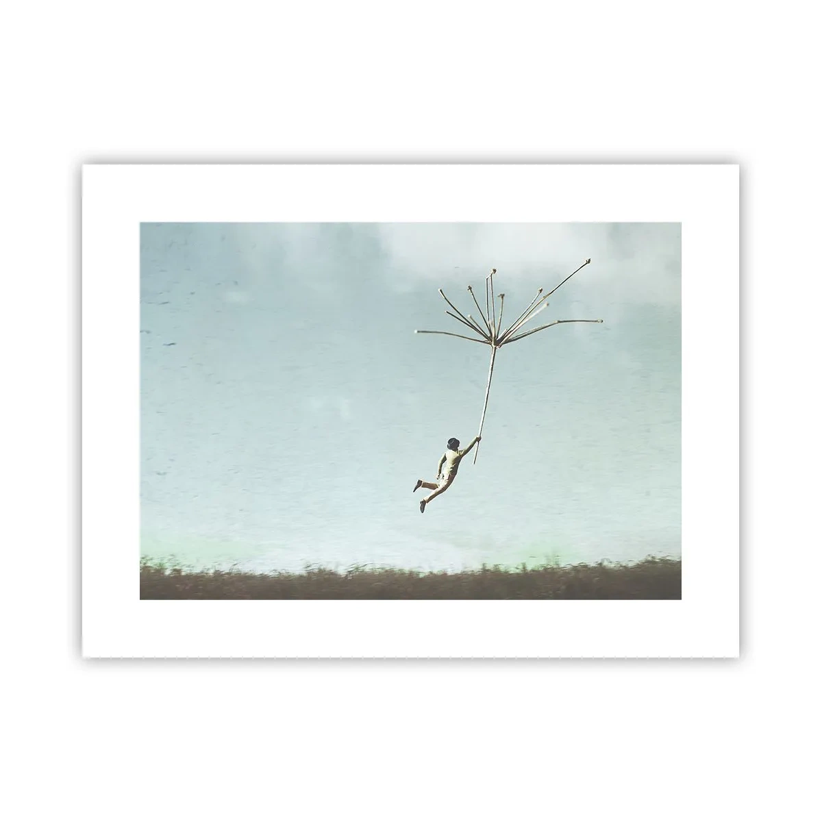 Poster - Aquiloni, denti di leone, vento - 40x30 cm