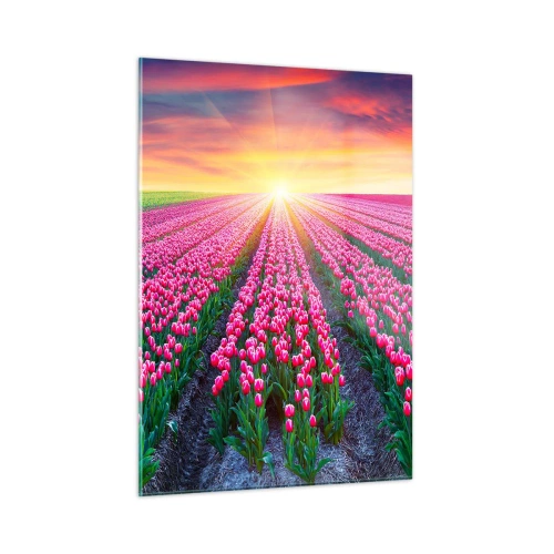 Quadro su vetro - Un campo di tulipani rosa sotto i raggi del sole al tramonto - 50x70cm - La fattoria della bellezza - Decorazione murale moderna per soggiorno e camera da letto ARTTOR