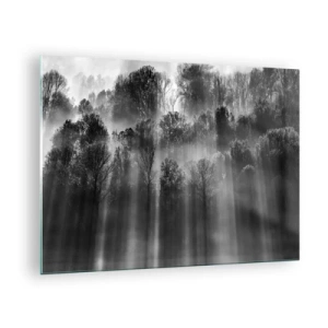 Quadro su vetro - Raggi di luce bianchi e neri che penetrano nella foresta - 70x50cm - Nei getti di luce - Decorazione murale moderna per soggiorno e camera da letto ARTTOR