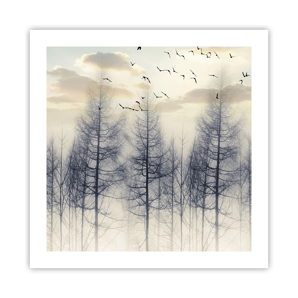 Poster - Lo spirito della foresta - 50x50 cm