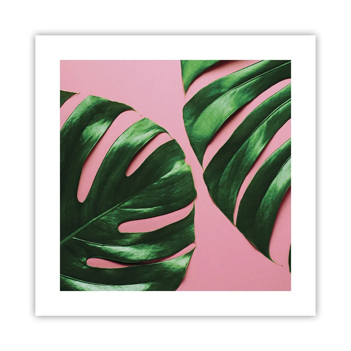 Poster - Appuntamento in verde - 40x40 cm