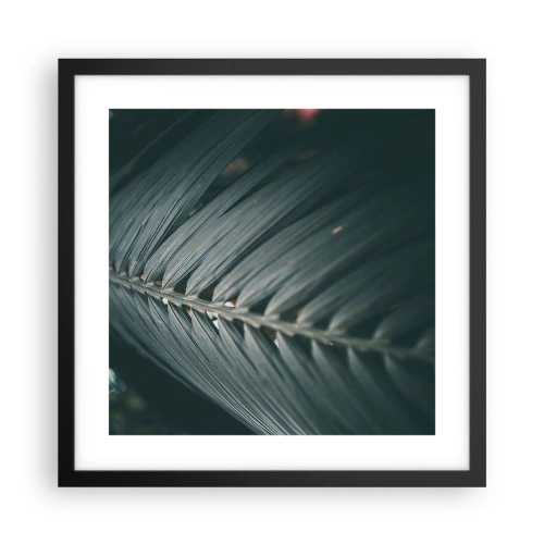 Poster in cornice nera - La precisione della natura - 40x40 cm