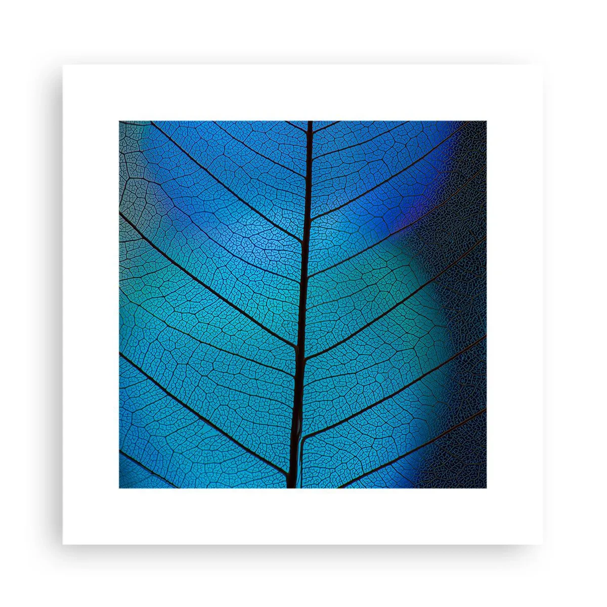 Poster - Struttura intricata - 30x30 cm