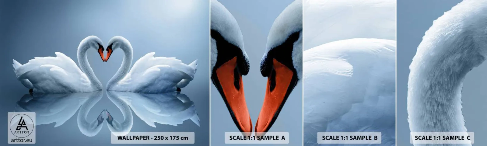 Campione Di Fotomurale Standard Eco - Il tempo dell'amore - Cigni, Amore, Cuore - 100x30 cm