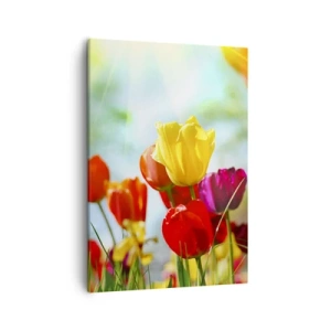 Quadro su tela - Stampe su Tela - Tulipani colorati al sole - 50x70cm - Tutti i colori del sole - Decorazione murale moderna per soggiorno e camera da letto ARTTOR