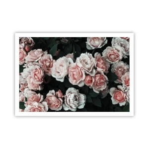 Poster - Rose rosa su sfondo scuro in una composizione delicata - 100x70cm - Composizione di rose - Decorazione murale moderna per soggiorno e camera da letto ARTTOR