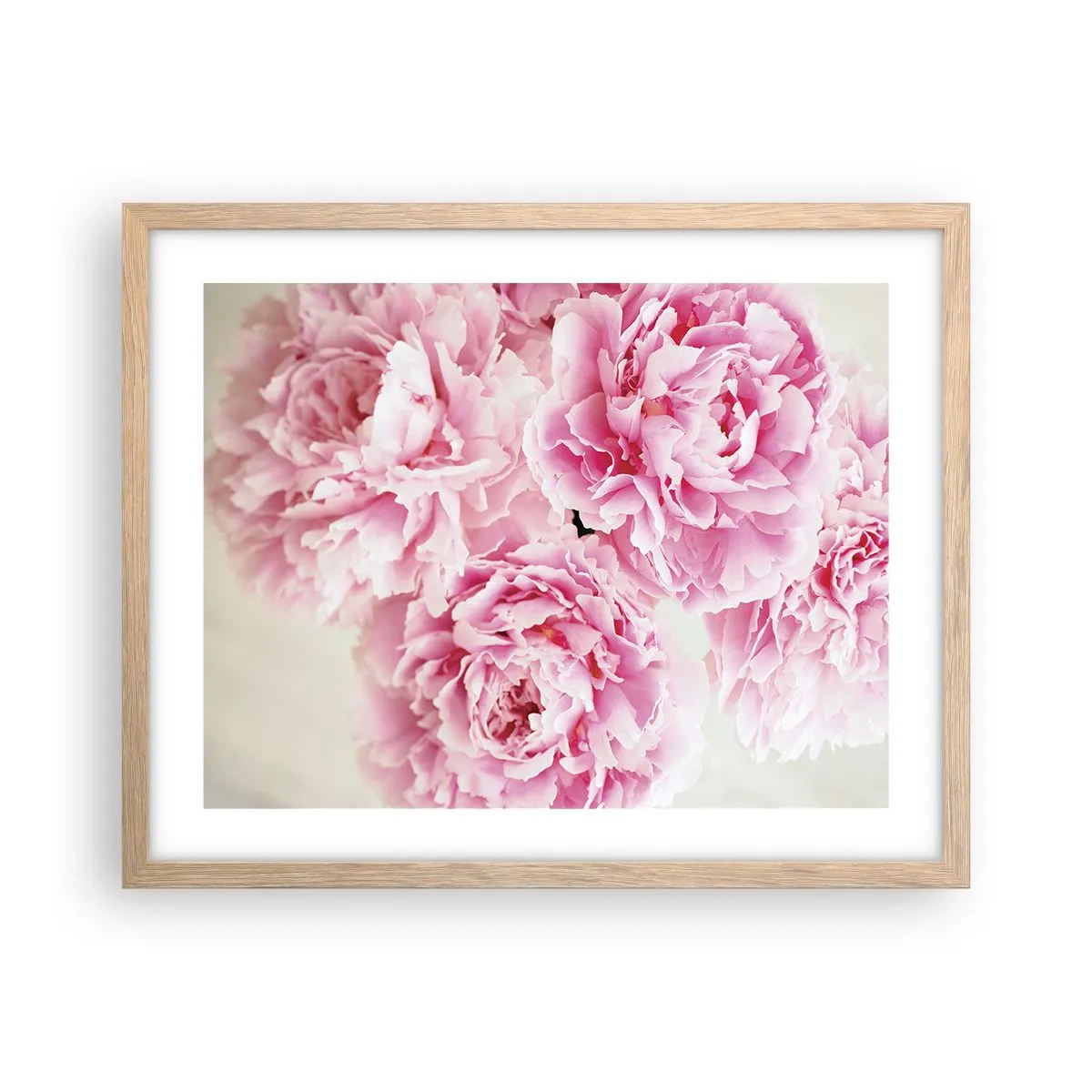 Poster in cornice rovere chiaro - Nel fasto rosa - 50x40 cm