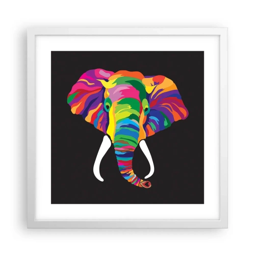 Poster in cornice bianca - L'elefante che faceva il bagno nell'arcobaleno - 40x40 cm