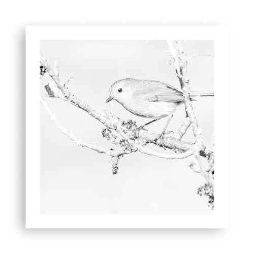 Poster - Mattino invernale - 50x50 cm