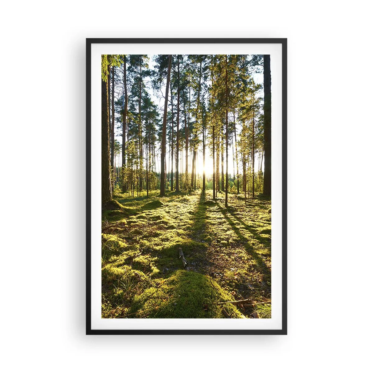 Poster in cornice nera - …dopo sette foreste - 61x91 cm