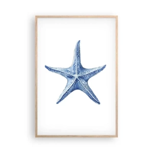 Poster in cornice rovere chiaro - Stella marina - 61x91 cm