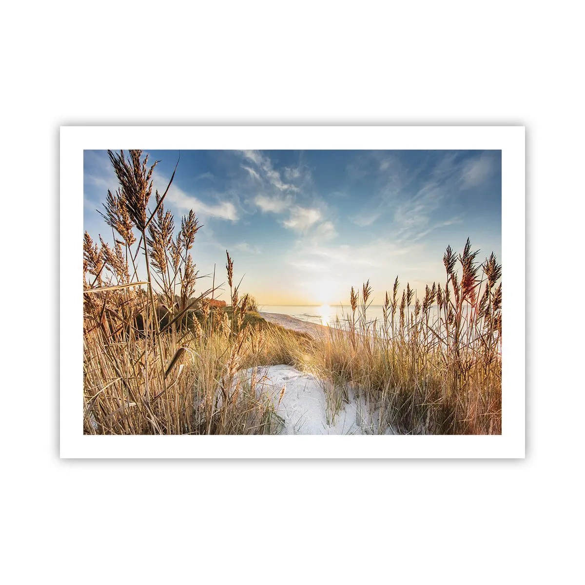 Poster - Spiaggia del nord - 70x50 cm