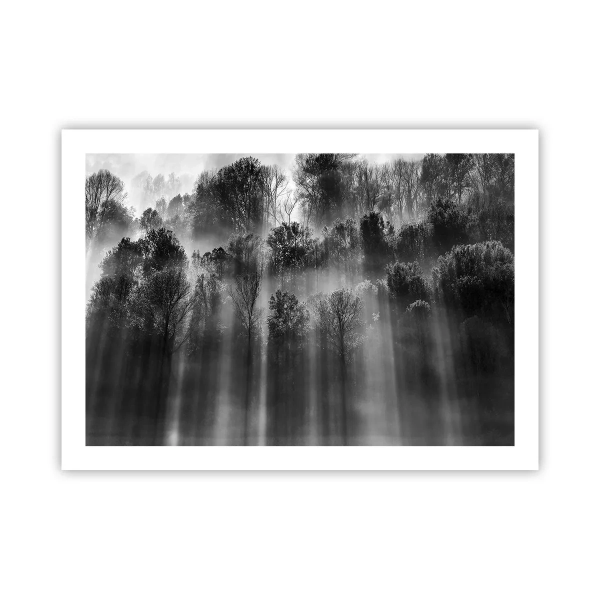 Poster - Nei getti di luce - 70x50 cm