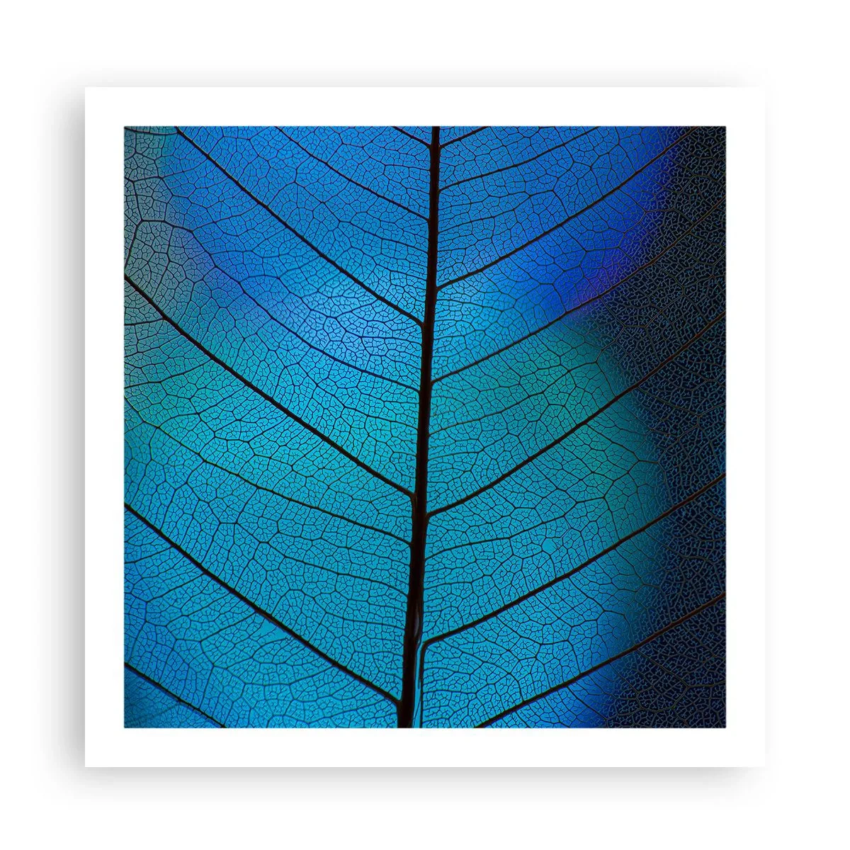 Poster - Struttura intricata - 60x60 cm