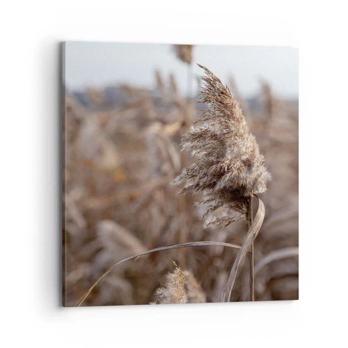 Quadro su tela - Stampe su Tela - è tempo di volare col vento - 70x70 cm