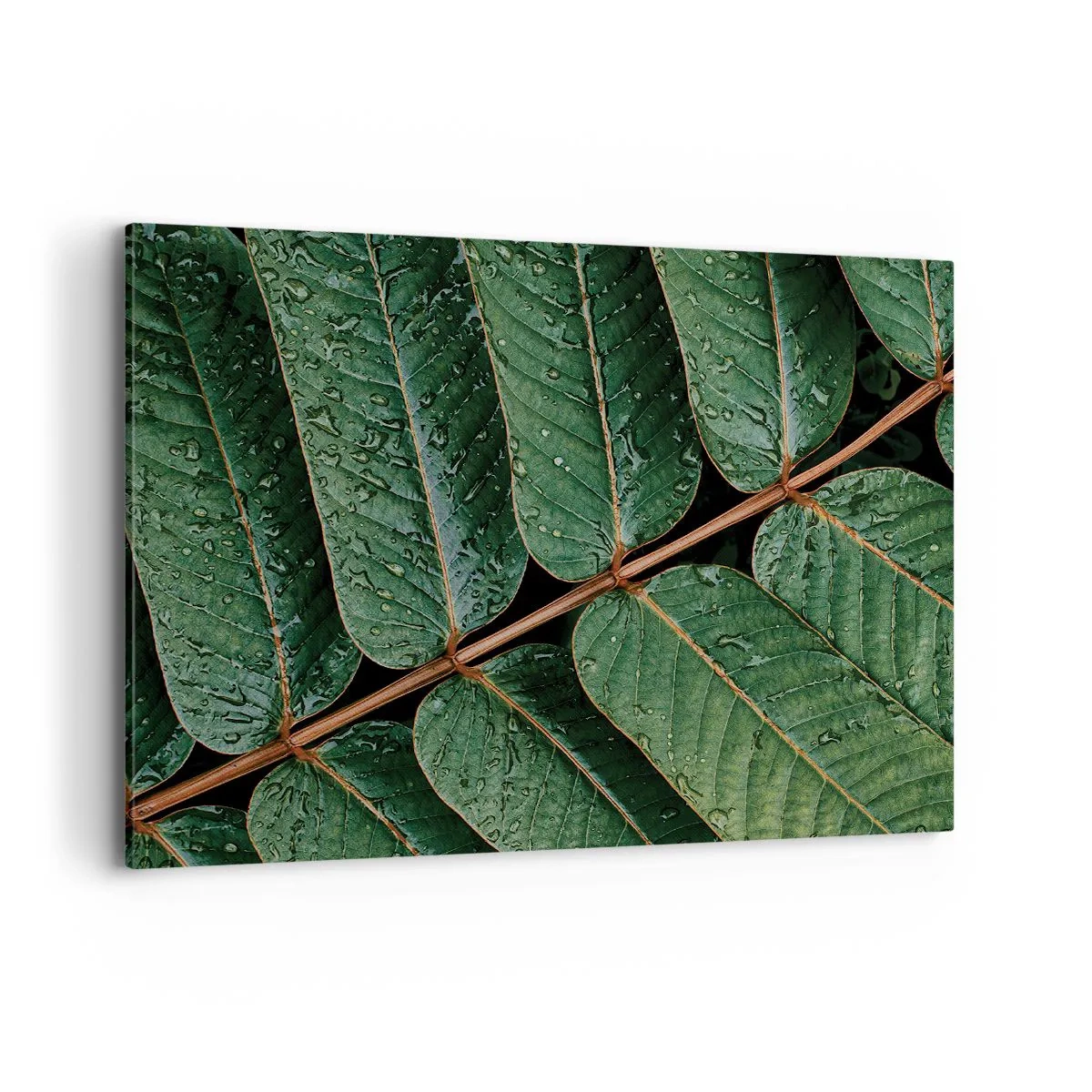 Quadro su tela - Stampe su Tela - Macro di foglie verdi con gocce di rugiada - 100x70cm - Al ritmo verde - Decorazione murale moderna per soggiorno e camera da letto ARTTOR