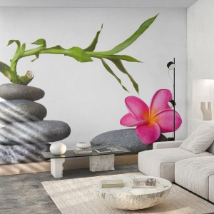 Fotomurali Premium Sand - I colori della vita e dell'esistenza - Fiore, Pietre, Terme - 400x280 cm