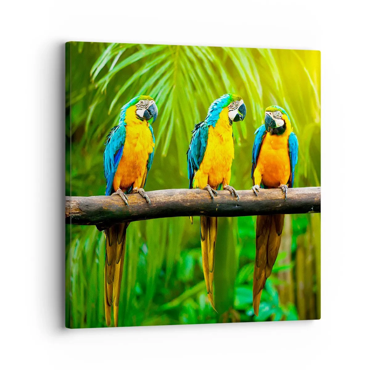 Quadro su tela - Stampe su Tela - Hai sentito che ha fatto? - 30x30 cm