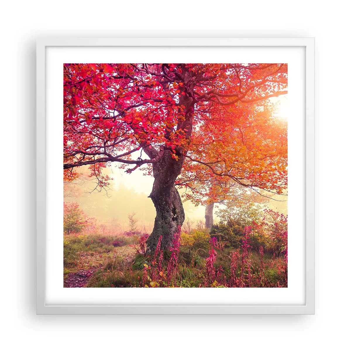 Poster in cornice bianca - L'esplosione della fioritura - 50x50 cm