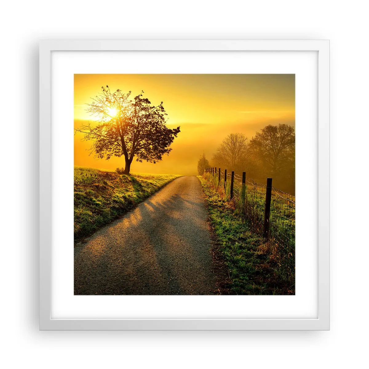 Poster in cornice bianca - Pomeriggio di miele - 40x40 cm