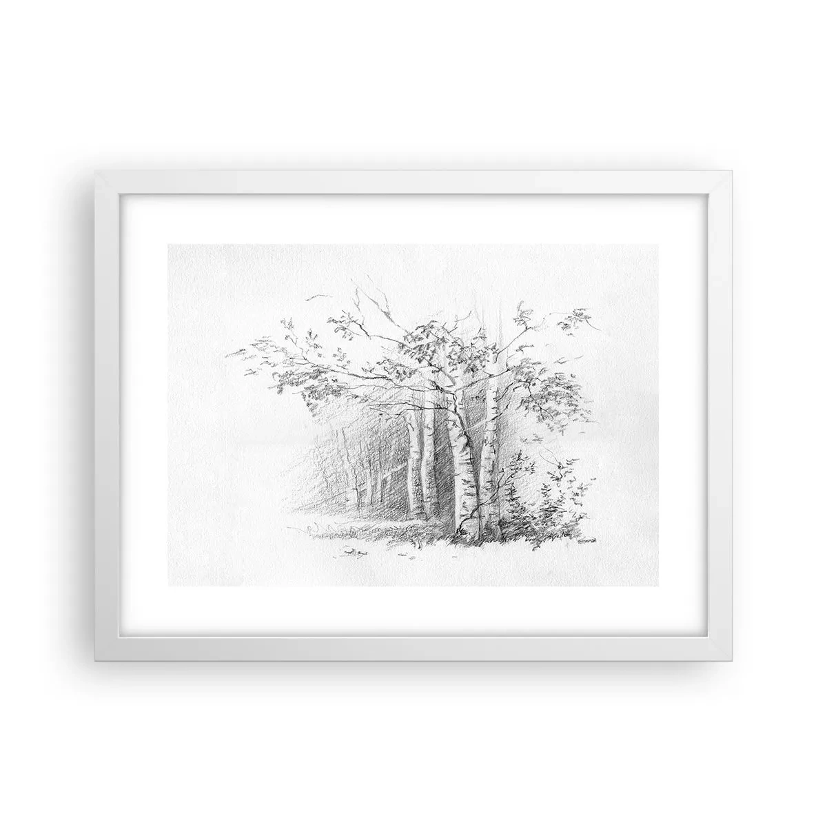 Poster in cornice bianca - La luce della foresta di betulle - 40x30 cm