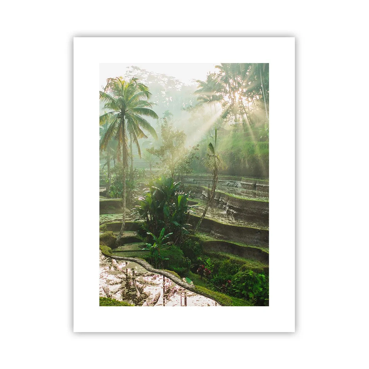 Poster - Crescere al sole - 30x40 cm