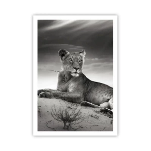 Poster - Il riposo della regina del deserto - 70x100 cm