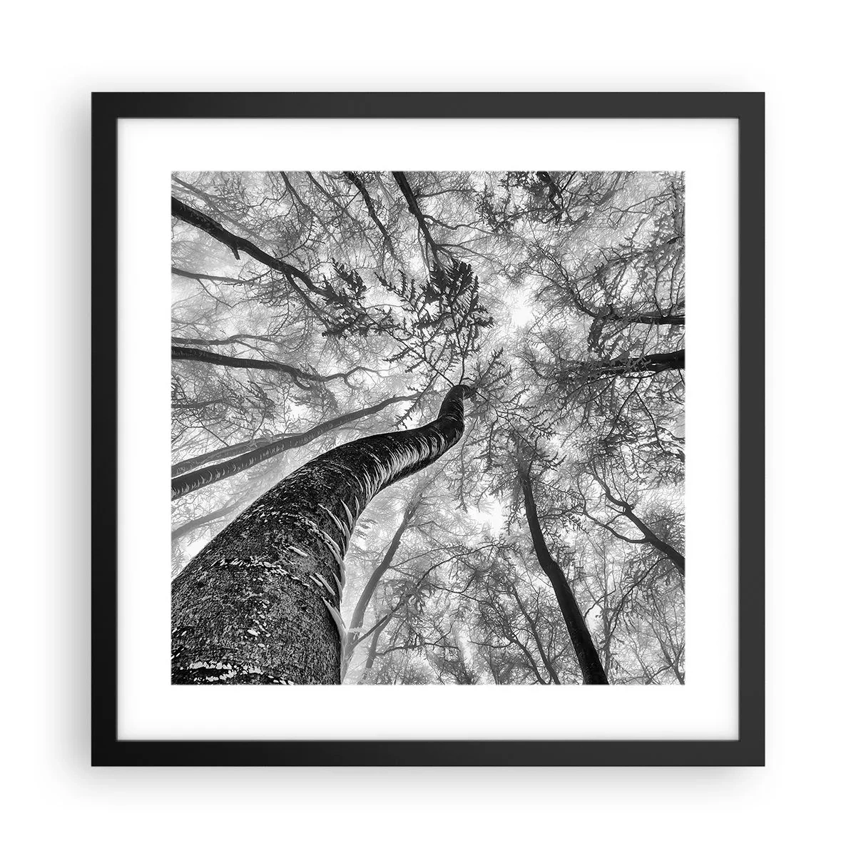 Poster in cornice nera - La corsa verso la luce - 40x40 cm