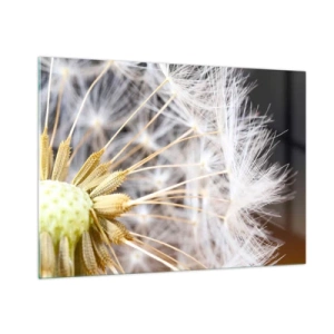Quadro su vetro - Primo piano di un dente di leone con semi delicati - 100x70cm - Subito prima del decollo - Decorazione murale moderna per soggiorno e camera da letto ARTTOR