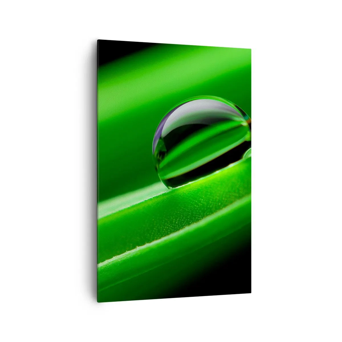 Quadro su tela - Stampe su Tela - Primo piano di una goccia di rugiada su una foglia verde - 80x120cm - La vita da vicino - Decorazione murale moderna per soggiorno e camera da letto ARTTOR