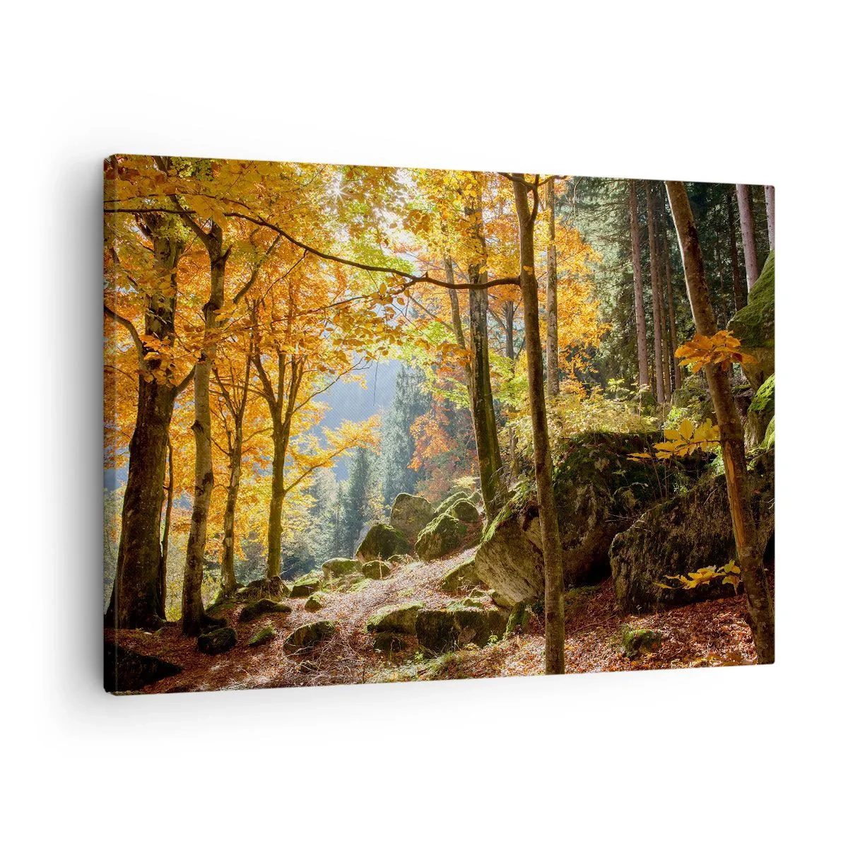 Quadro su tela - Stampe su Tela - Una foresta autunnale piena di foglie dorate e luce solare - 70x50cm - Il tempo del riposo - Decorazione murale moderna per soggiorno e camera da letto ARTTOR
