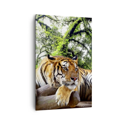 Quadro su tela - Stampe su Tela - Una tigre che riposa in una foresta tropicale - 80x120cm - Con espressioni di stima - Decorazione murale moderna per soggiorno e camera da letto ARTTOR