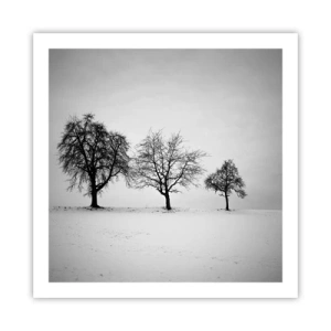 Poster - Cosa sognano? - 60x60 cm