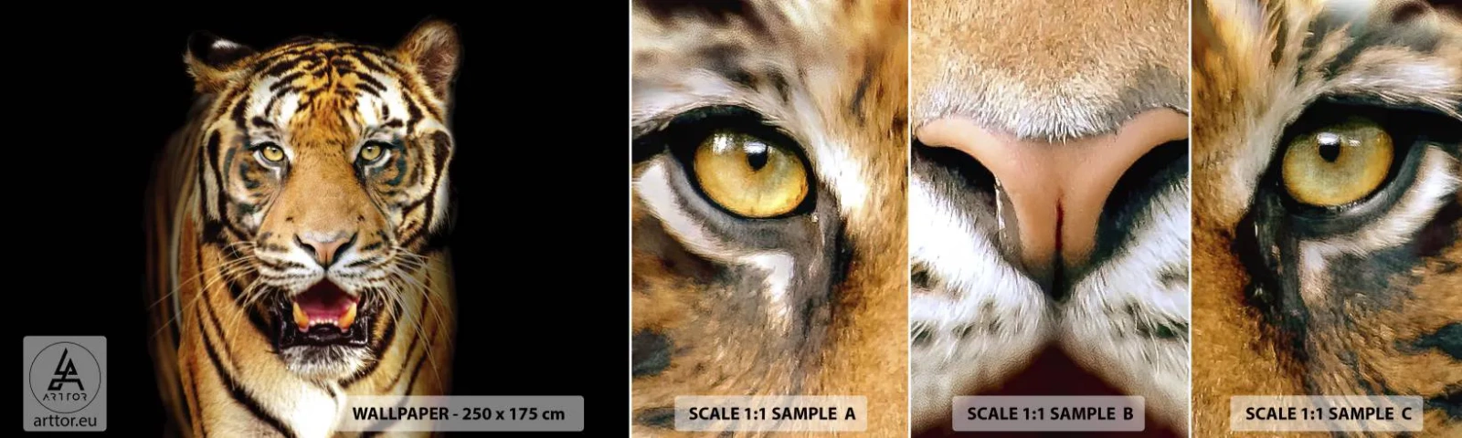 Campione di Fotomurale Adesivo Deluxe Sticker - Cuore selvatico - Animali, Tigre, Predatore - 100x30 cm