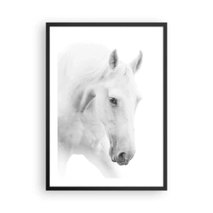 Poster in cornice nera - Ritratto di un cavallo bianco in stile minimalista - 50x70cm - È amicizia? - Decorazione murale moderna per soggiorno e camera da letto ARTTOR