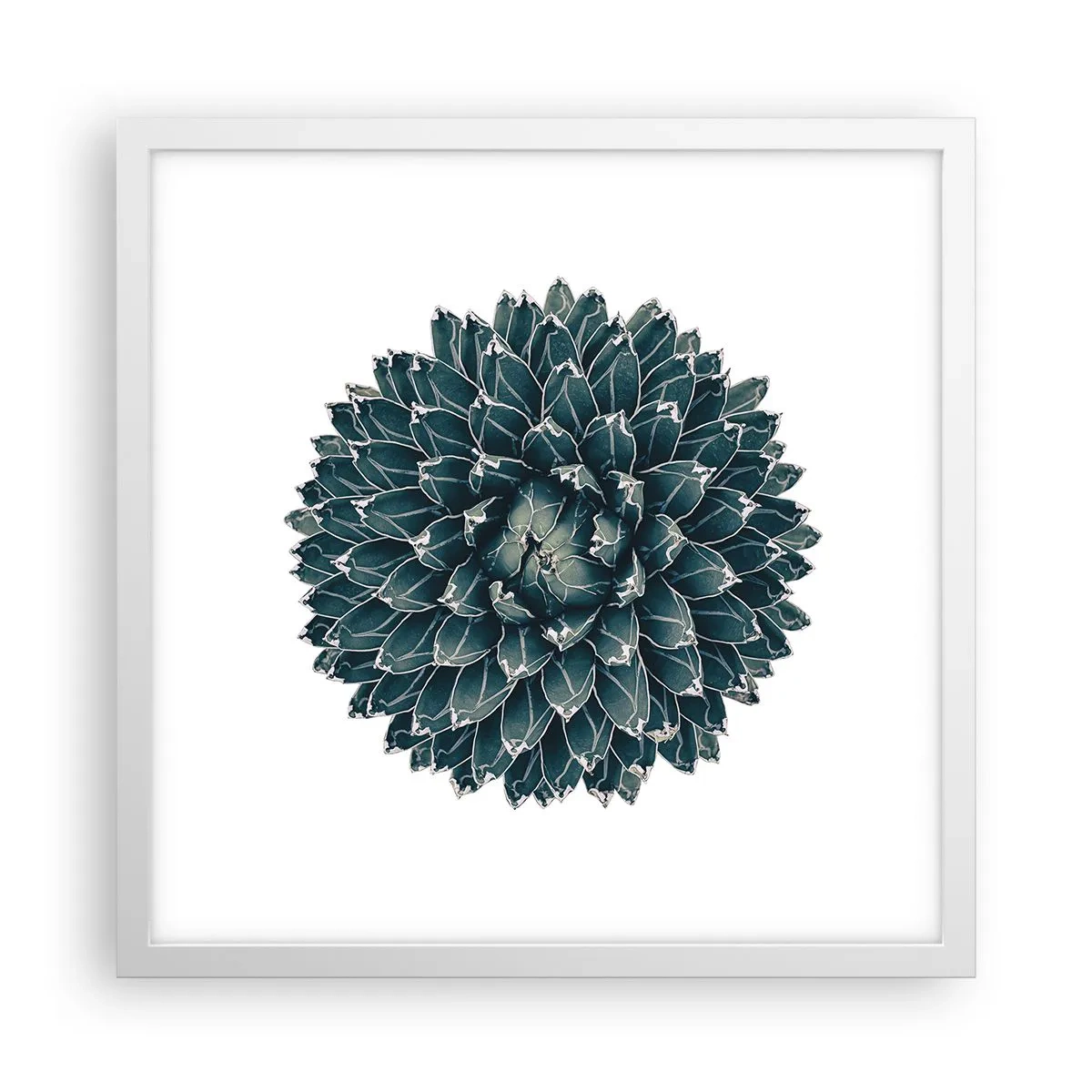 Poster in cornice bianca - La stella del deserto - 40x40 cm