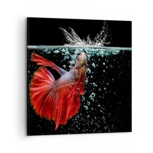 Quadro su tela - Stampe su Tela - Hai tre desideri - 60x60 cm