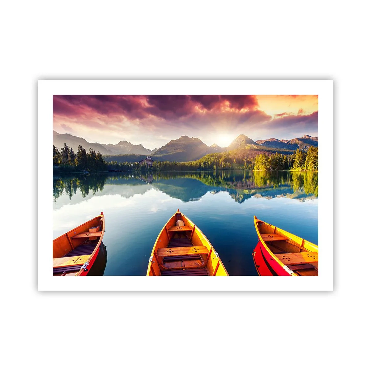 Poster - Niente contro natura - 70x50 cm