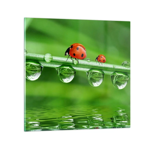 Quadro su vetro - In cammino per tutta l'estate - 60x60 cm