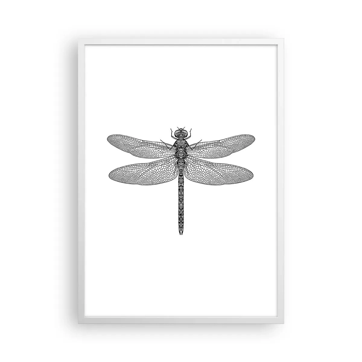 Poster in cornice bianca - La precisione della natura - 50x70 cm