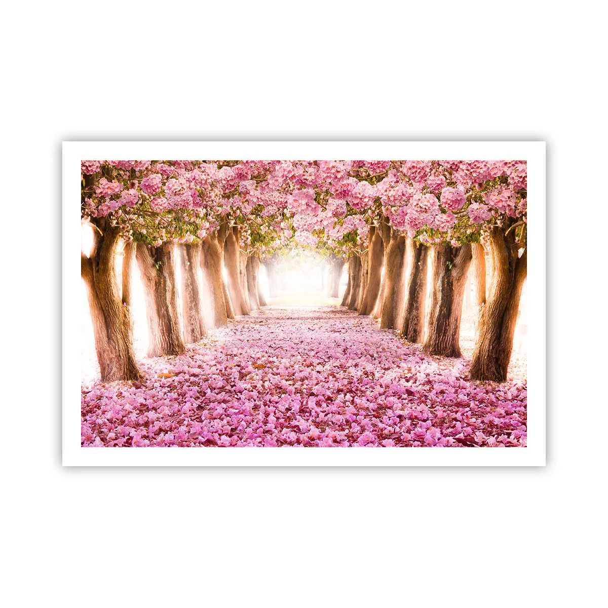 Poster - La strada verso il paradiso - 91x61 cm