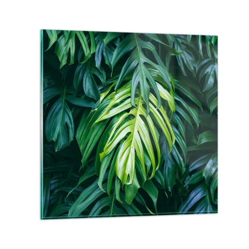 Quadro su vetro - Immergersi nella freschezza - 50x50 cm