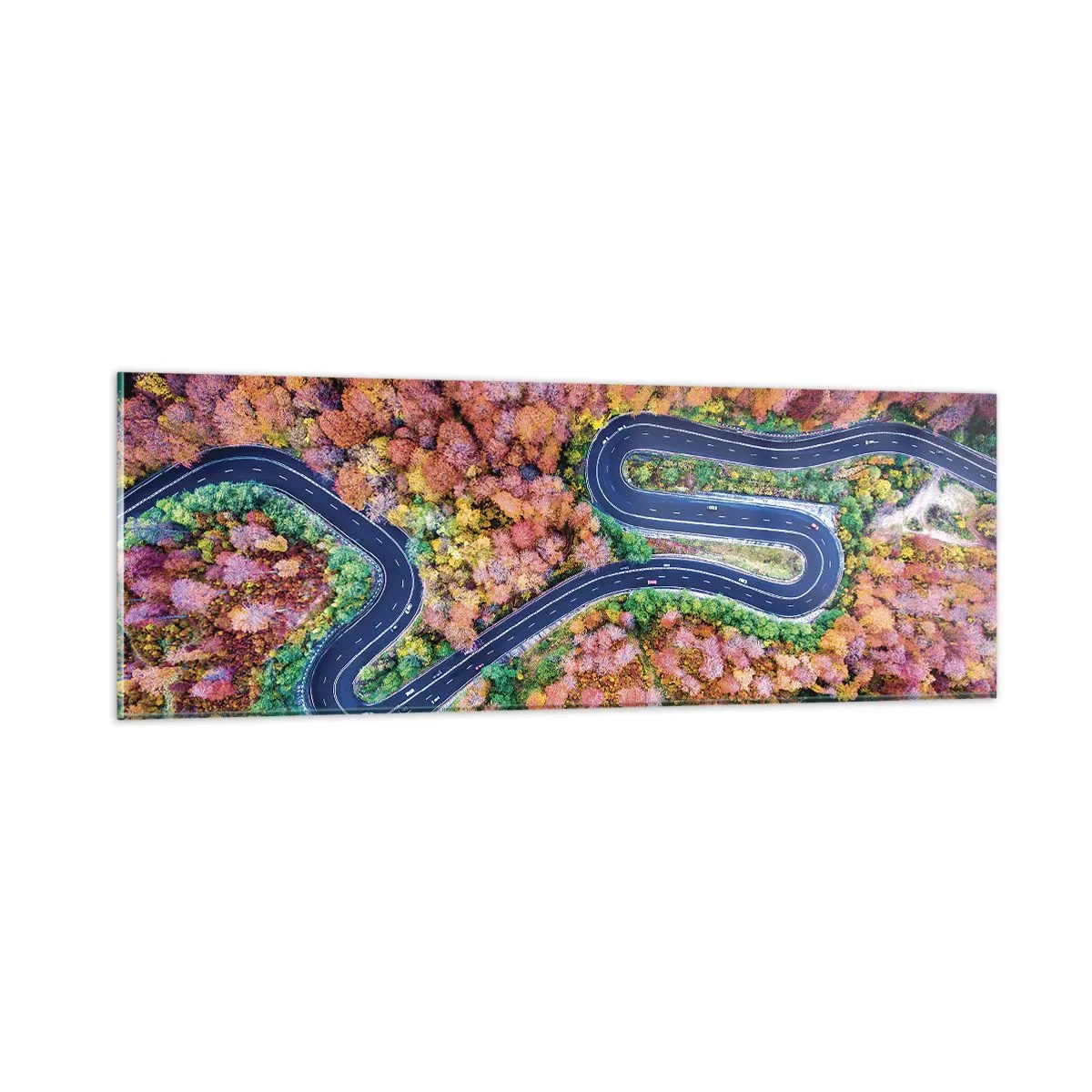 Quadro su vetro - Via tortuosa attraverso il bosco - 90x30 cm