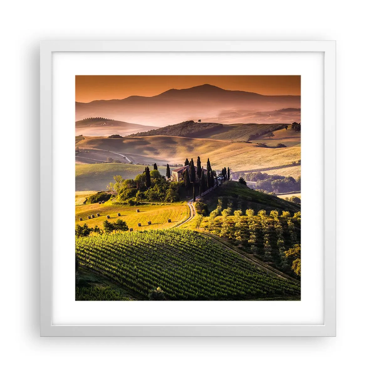 Poster in cornice bianca - Arcadia: paesaggio toscano - 40x40 cm